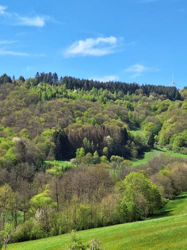 Dhrontal-Wackentour (Traumschleife)