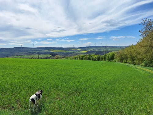 Dhrontal-Wackentour (Traumschleife)