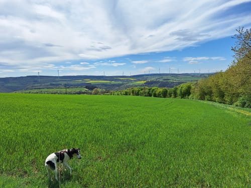 Dhrontal-Wackentour (Traumschleife)
