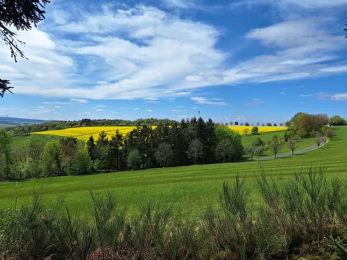 Dhrontal-Wackentour (Traumschleife)