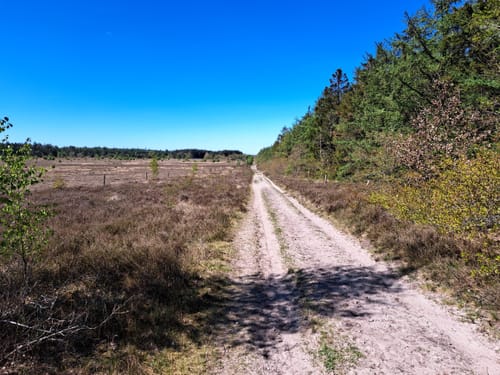 Franzenburg - NSG Küstenheide Runde