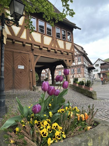 Kulturlandschaftspfad Strümpfelbach