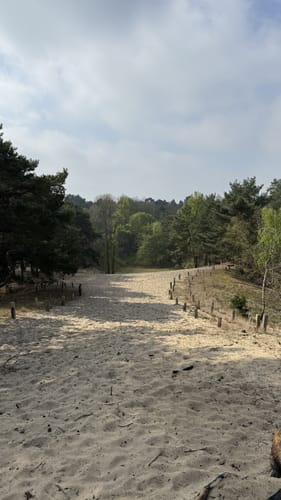 Besenhorster Sandberge und Elbsandwiesen