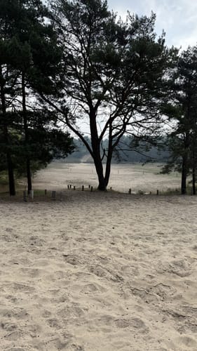 Besenhorster Sandberge und Elbsandwiesen