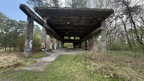 Besenhorster Sandberge und Elbsandwiesen