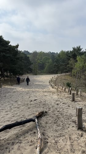 Besenhorster Sandberge und Elbsandwiesen