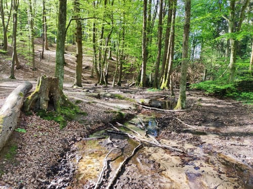 Dalbekschlucht