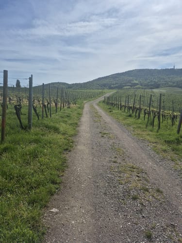 Sängerrundweg Winden