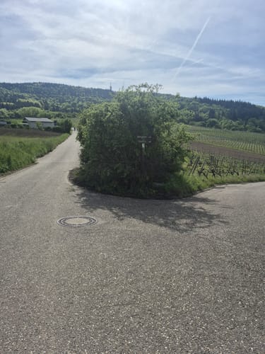 Sängerrundweg Winden