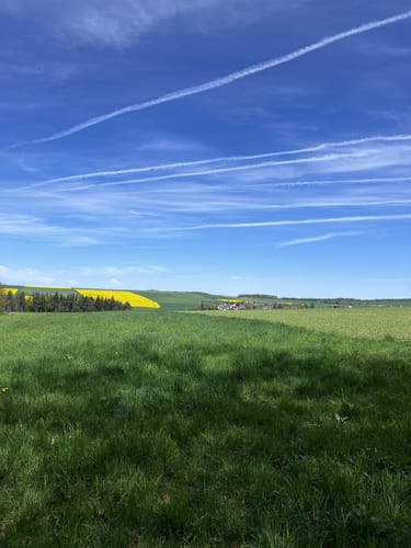 Rundwanderweg Eichhörnchen