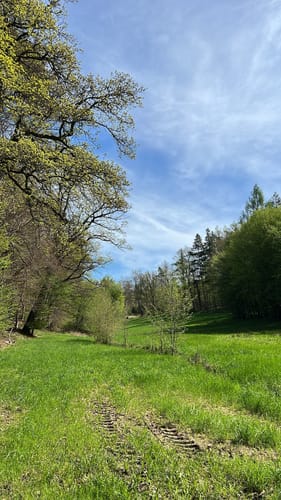 Rundwanderweg Eichhörnchen