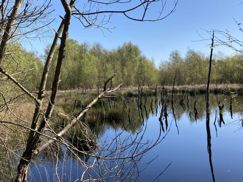 Wanderroute 15: Owschlager See - Owschlager Moor