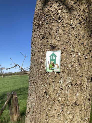 Wanderroute 15: Owschlager See - Owschlager Moor