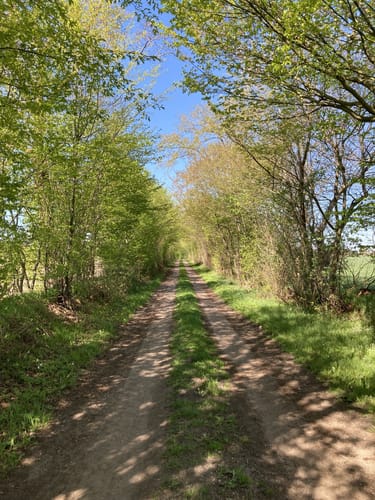 Wanderroute 15: Owschlager See - Owschlager Moor