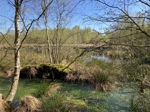 Wanderroute 15: Owschlager See - Owschlager Moor