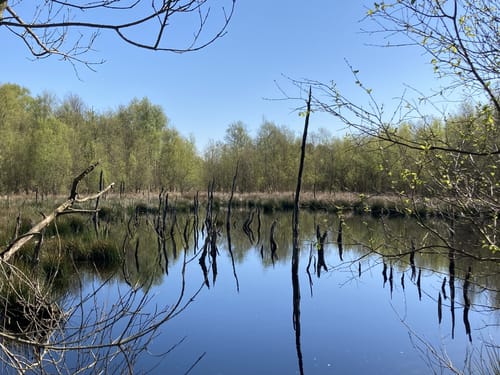 Wanderroute 15: Owschlager See - Owschlager Moor