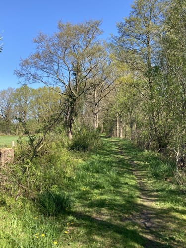 Wanderroute 15: Owschlager See - Owschlager Moor