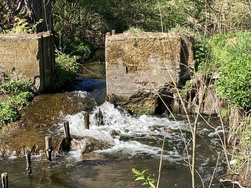 Wanderroute 15: Owschlager See - Owschlager Moor