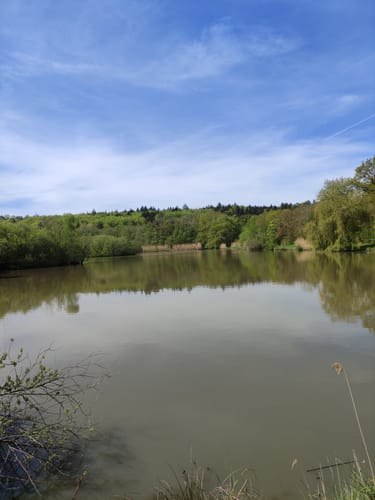 Buchhorner See - Gleichener See