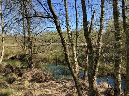 Wanderroute 15: Owschlager See - Owschlager Moor
