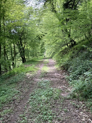 Moselhöhe und Römergräber