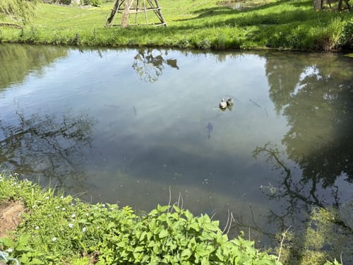 Rundwanderweg Laudenbach 1: Brunnthal-Weg