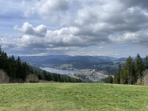 Mittelweg Etappe 8: Neustadt - Häusern