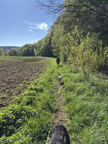 5-Täler-Wanderweg