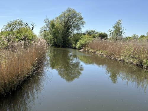 Rehbrücke - Drewitz