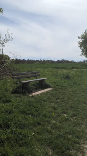 Speicher - Auw an der Kyll