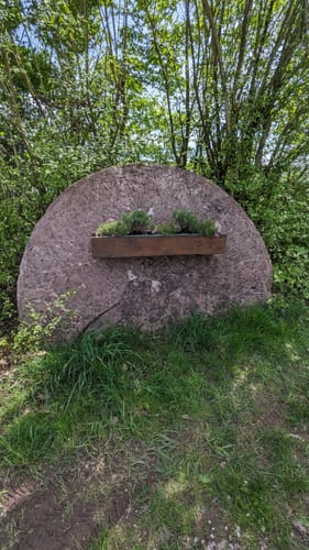 Speicher - Auw an der Kyll