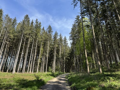 Diedorfer Hochweg und Anhauser Tal