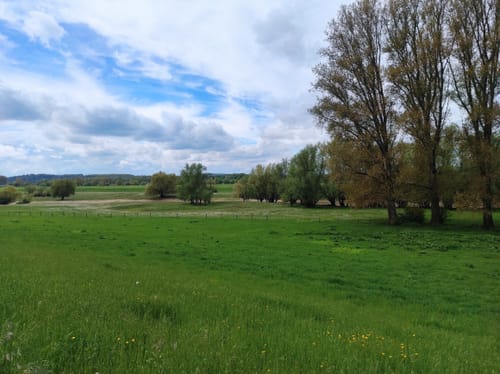 Bislich: Storchenrundweg