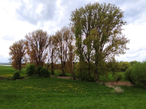Bislich: Storchenrundweg