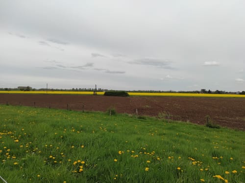 Bislich: Storchenrundweg