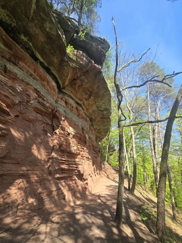 Grenzweg (Premiumwanderweg)