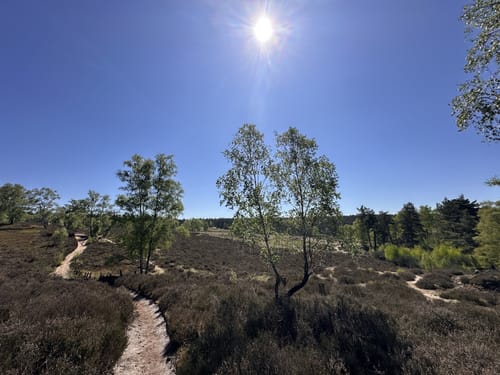 Fischbeker Heide: Fischbektal und Aussichtspunkte