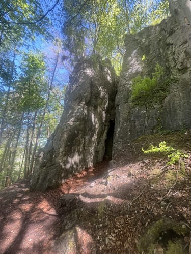 Die versunkenen Gärten von Schloss Greifenstein