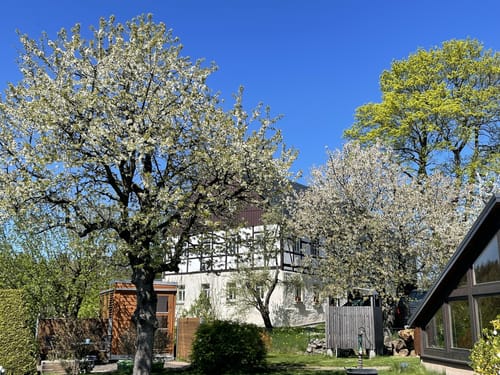 Saidenbach Große Talsperrenrundweg