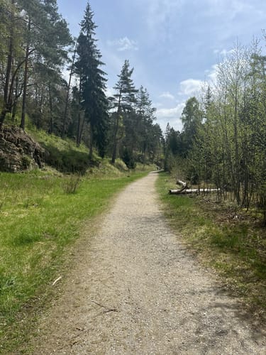 Rundwanderung  Höwenegg ab Immending