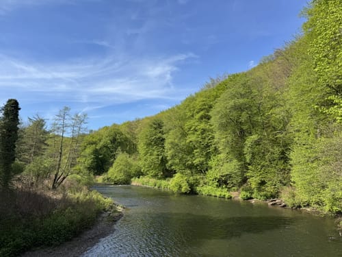 Zum Schloss Burg entlang der Wupper ab Schaberg