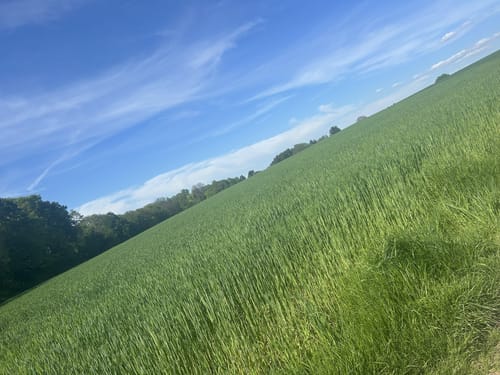 Obstweg Leichlingen