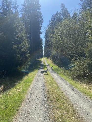 Rundwanderweg Weckersdorf