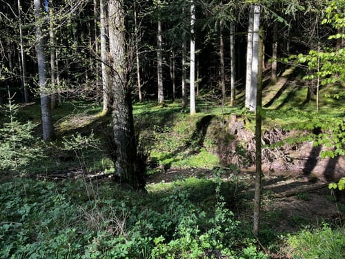 Kesselgrotte - Ebnisee - Waldenstein