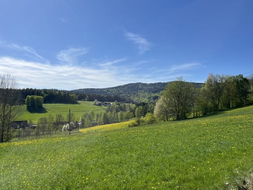 Frauenreuther Weiher und Grenzmühle