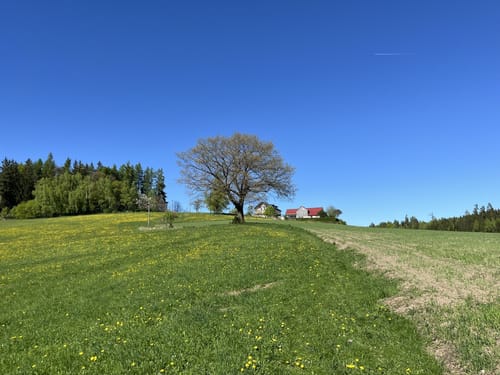 Frauenreuther Weiher und Grenzmühle