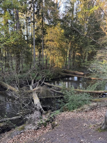 Aumühle-Sachsenwaldau-Runde