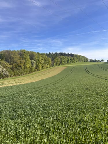 Zum Knückelein