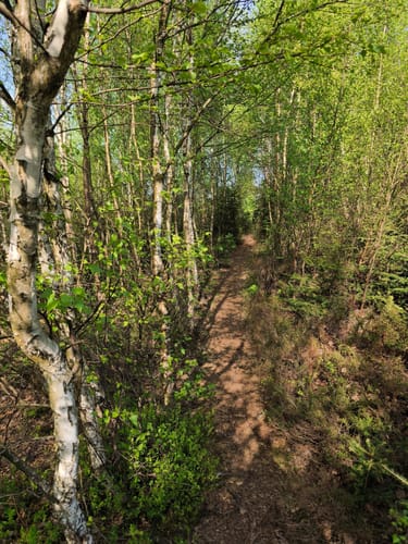 Schalksmühle - Worthberg