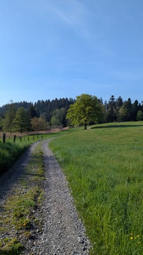 Wanderweg W7: Von Egg übers Milchwegle ins Pfaumoos und Maiertal